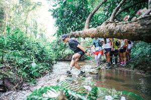 BIB: 
                            <button type="button" onclick="openModal(25469653)" class="btn btn-primary btn-sm float-right btn-popup" data-toggle="modal" data-target=".modal-high-quality">
                        <i class="fas fa-shopping-cart"></i> Add to Cart
                    </button>
                                            <button type="button" onclick="isThisMe(25469653, true)" class="btn btn-success btn-sm float-right btn-popup btn-isme hidden" data-toggle="tooltip" data-placement="bottom" title="นี่คือรูปของคุณใช่ไหม คลิกที่นี่เพื่อเอาเข้าอัลบั้ม">
                        <i class="fas fa-plus"></i> Add to album
                    </button>
                    <button type="button" onclick="isThisMe(25469653, false)" class="btn btn-warning btn-sm float-right btn-popup btn-isnotme hidden">
                        <i class="fas fa-ban"></i> Remove from album
                    </button>